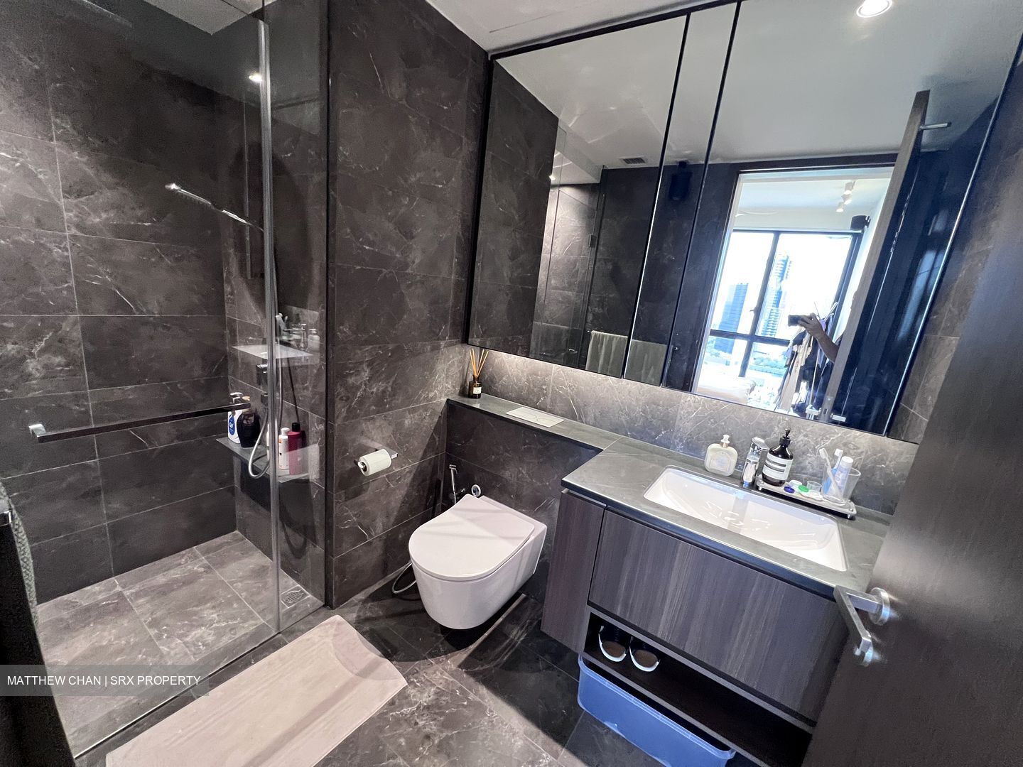 Kopar At Newton (D9), Apartment #565030181